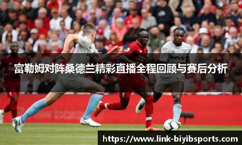 富勒姆对阵桑德兰精彩直播全程回顾与赛后分析